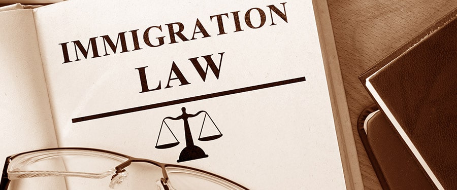What does an immigration lawyer do