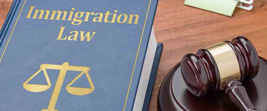 Will immigration laws change